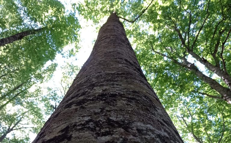foto12